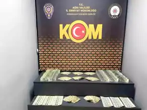 Ağrı'da 18 Bin 700 Sahte Dolar Ele Geçirildi