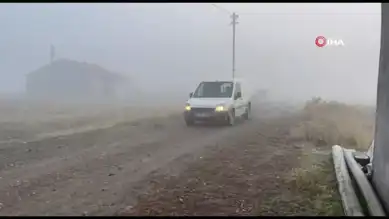 Doğu Anadolu Bölgesinde Şiddetli Don Olayı