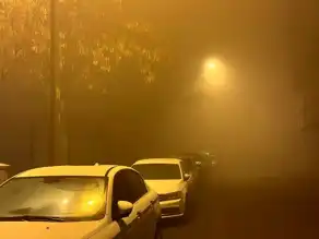 Ağrı'da Yoğun Sis, Ulaşımı Felç Ediyor!