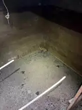 Beton Kuyudaki Tilki Kurtarıldı