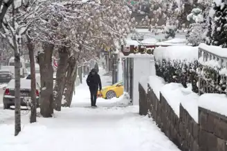 Doğu Anadolu'da Şiddetli Kar Yağışı