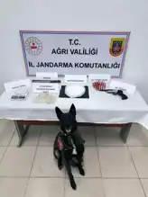 Doğu Anadolu'da Uyuşturucu ve Silah Operasyonu