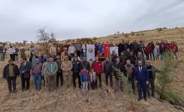 Türkiye'de Binlerce Fidan Toprağa Kavuştu