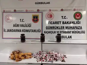 Gümrükte Kaçak Safran Ele Geçirildi